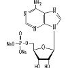 5` -Adenosine Monophosphoric Acid(Free Acid) (5` -Adenosine Monophosphoric Acid(Free Acid))