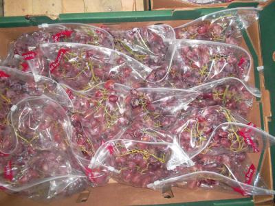 Crimson Grapes