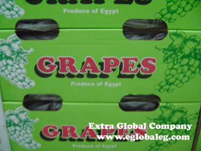 Flame Seedless Grapes (Flame Seedless Grapes)