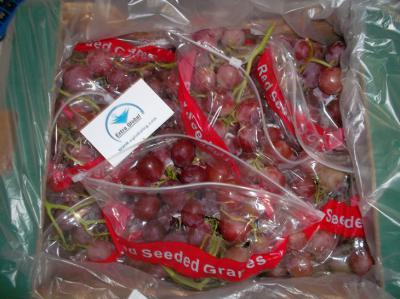 Red Globe Grapes (Red Globe Grapes)