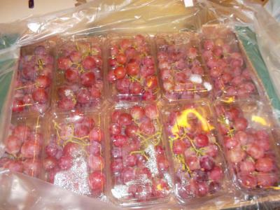 Red Globe Grapes ()