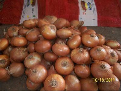 Egyptian onions garlic potato (Egyptian onions garlic potato)