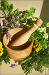 Medicinal herbs (Medicinal herbs)