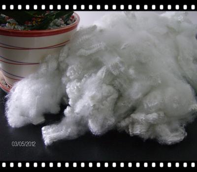 sell recycled polyester staple fiber