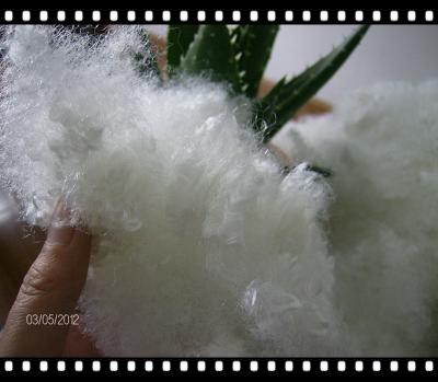 sell polyester staple fiber ()