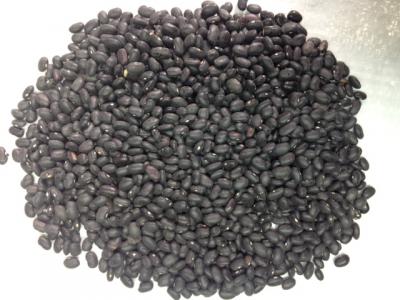 Sell - Black kidney beans (Продать - черные бобы)