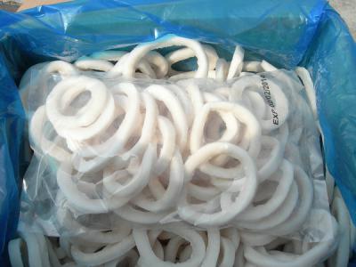 frozen squid rings, squid products