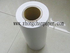 PE coated art paper