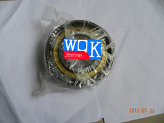 WQK Cylindrical Roller Bearing  NUP220E ()