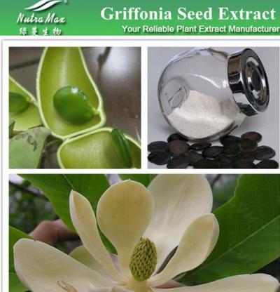 Griffonia simplicifolia Seed Extract 5-HTP(sales06@nutra-max.com) ()