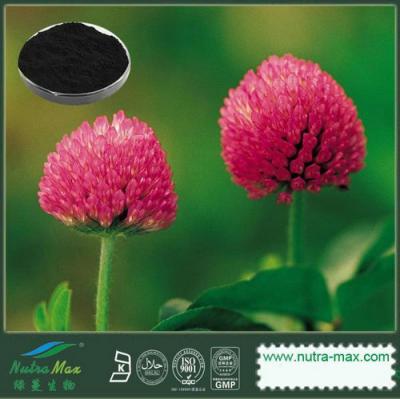 Red Clover Extract 20% Isoflavones(sales06@nutra-max.com) ()