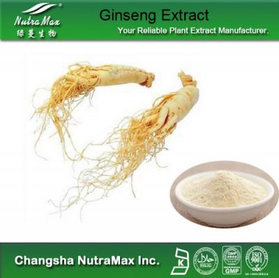 Ginseng Root Extract 80% Ginsenosides(sales06@nutra-max.com) ()