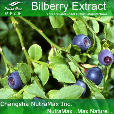 Bilberry P.E. 25% Anthocyanidins(sales06@nutra-max.com) ()