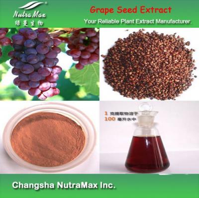 Grape seed Extract(sales06@nutra-max.com) ()