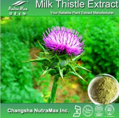 Milk Thistle Extract(sales06@nutra-max.com) ()