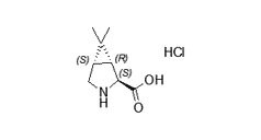 Boceprevir intermediate P2 salt