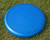 Balance Cushion