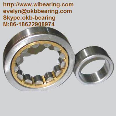 FAG NNU4926BK Bearing,130x180x50,SKF NNU4926BK ()