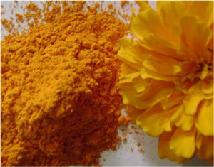 Marigold extract oleoresin ()
