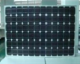 175w Monocrystalline Solar Panel (MAC-MSP175) ()