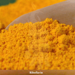 RIBOFLAVIN B2 ()