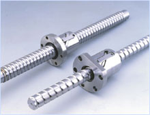 Ball Screw (Kugelgewindetriebe)