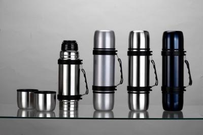 Stainless Steel Vacuum Flask, Thermal, Thermos Bottle, Tableware, Houseware