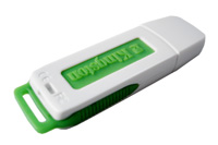 USB Flash Disk (Like Kingston Style) (USB Flash Disk (Like Kingston Style))