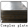 Titanium complex plate (Titankomplexes Platte)