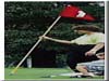 Tent poles, Golf flag poles, Sail Battens, Skifield barriers, Kite struts, Sport (Tente poteaux, mâts de drapeau Golf, Voile planches en bois, des barrières Ski)