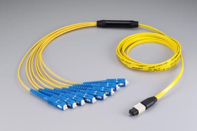 MPO Fan-out Patchcord Assemblies - SC / UPC (MPO Fan-out Patchcord Assemblies - SC / UPC)