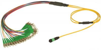 MPO Fan-out Patchcord Assemblies - FC/UPC - 4,8,12 and 24 fiber connector