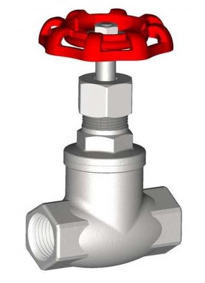 Stainless steel / Bronze Globe Valve (Acier inoxydable / Bronze Globe Valve)