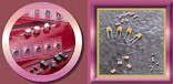 Chip Capacitors