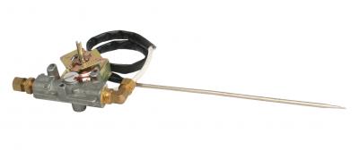 Electric Thermostat (Thermostat électrique)