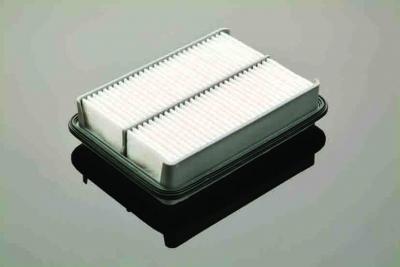 Air Filter (Air Filter)