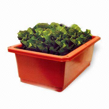 Pflanzliche Planter (Pflanzliche Planter)