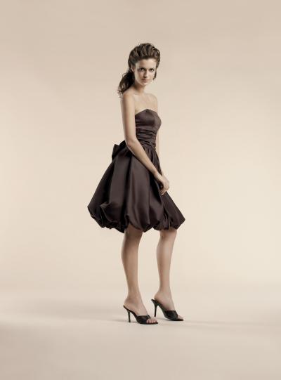 Bridesmaids; party dress (Brautjungfern; Party-Kleid)