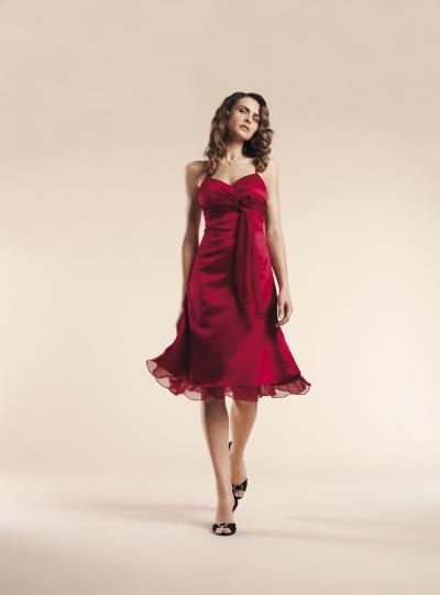 bridesmaids, party dress (Brautjungfern, Party-Kleid)