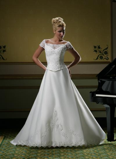 bridal gown; wedding dress (bridal gown; wedding dress)