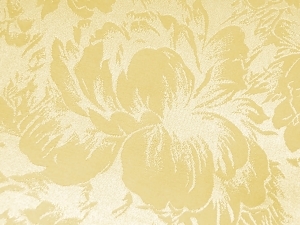 Silica Fabric (Tissu de silice)