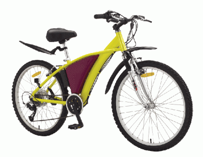 ELECTRIC BICYCLE (ELECTRIC BICYCLE)