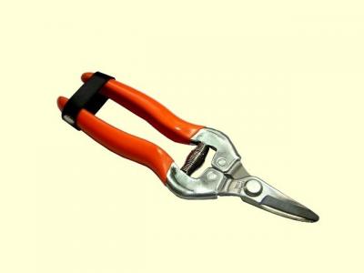 6-1/4` floral stainless curved pruner (6-1/4` floral stainless curved pruner)