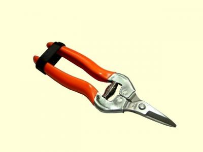 6-1/2`  floral stainless straight pruner (6-1/2 `Floral Pruner droite inox)