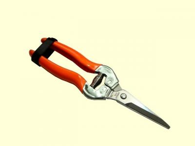 7-1/2`  floral stainless straight trimming pruner (7-1/2 `Floral inoxydable Sécateur coupe droite)