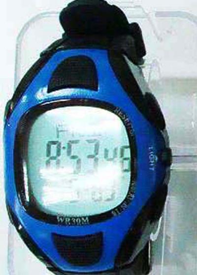 pulse watch (pulse watch)