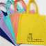 Shopping Bag/ Tote Bag/  Canvas Bag/ Promotional Bags ()