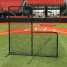 baseball net ()
