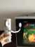 Bungee Security Tether with Magnetic Coupling ()