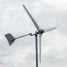 Hummer 500W Wind Energy Generator (Hummer 500W Wind Energy Generator)